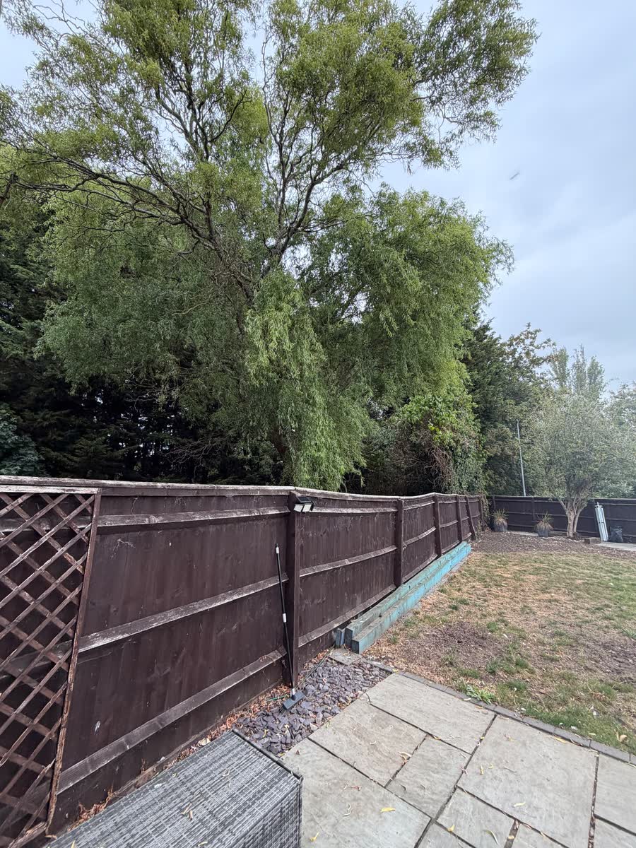 The full fence run, viewed from the patio — before